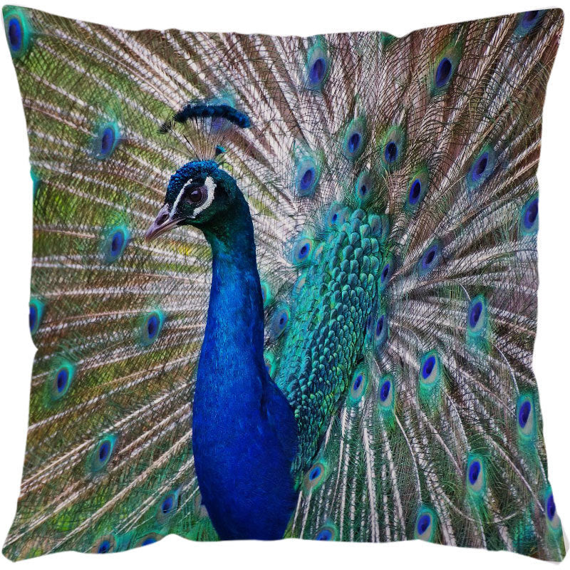 Turtle Printed Throw Pillow Cases